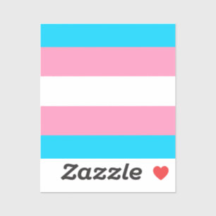  Transgender Flag   LGBTQIA+ 
