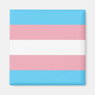 Transgender Flag Magnet
