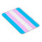 Transgender flag magnet