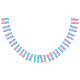 Transgender Flag Party Signs Banners Garland