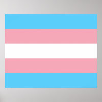 Transgender flag Poster