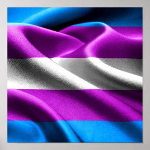 Transgender Flag Poster