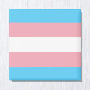 Transgender Flag & Pride community /gender flag Magnet