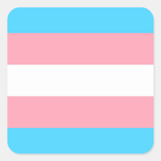 Transgender Flag Square Sticker