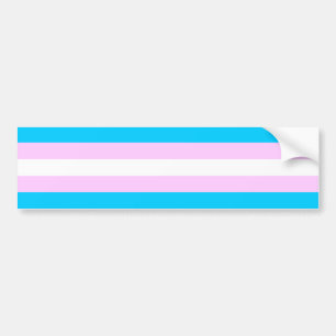 Transgender Flag Sticker