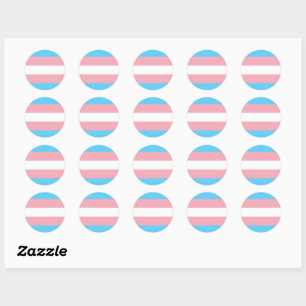 Transgender Flag sticker, Pride community /gender Classic Round Sticker