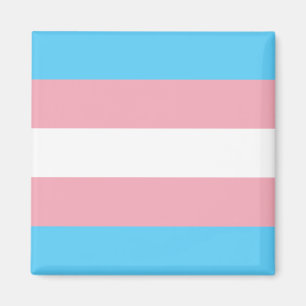 Transgender flag trans pride LGBT symbol gay homos Magnet