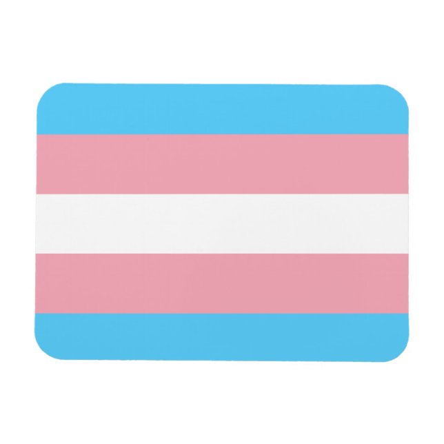 Transgender flag trans pride LGBT symbol gay homos Magnet (Horizontal)