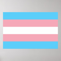 Transgender flag trans pride LGBT symbol gay homos