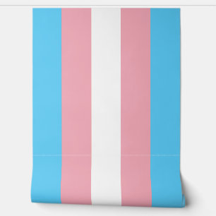 Transgender flag Wallpaper 