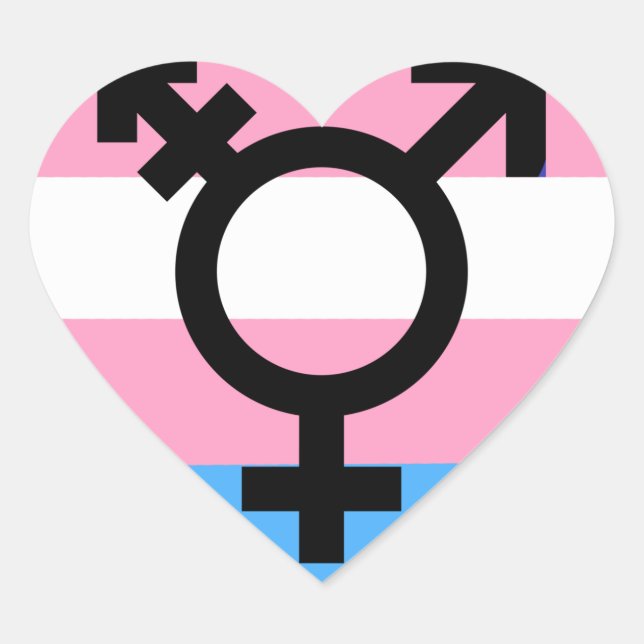 Transgender MTF FTM Awareness Pride Sticker (Front)