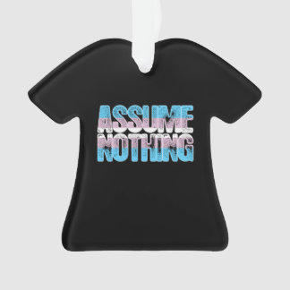 Transgender Pride Assume Nothing Ornament