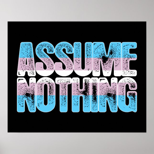 Transgender Pride Assume Nothing Poster (Front)