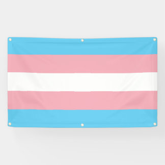 Transgender Pride Banner