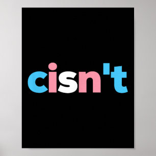 Transgender Pride Cisnt - Lgbtq Trans Flag - Funny Poster