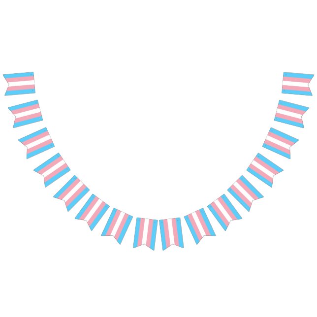 Transgender Pride Flag (All)