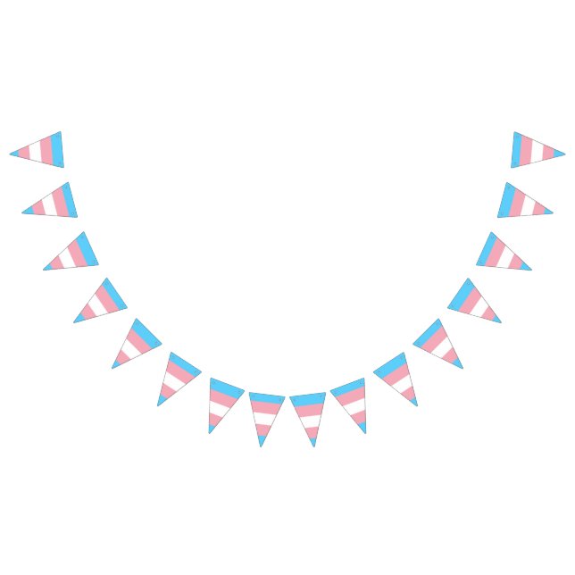 Transgender pride flag banner (All)