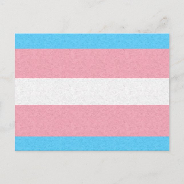 Transgender Pride Flag Coloured Background Postcard (Front)