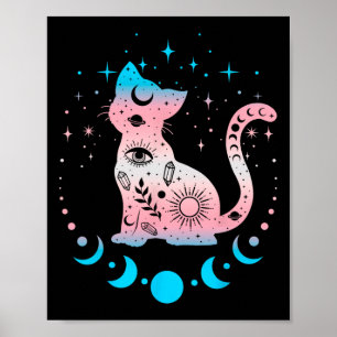 Transgender Pride Flag Colours Cat Lovers  Poster