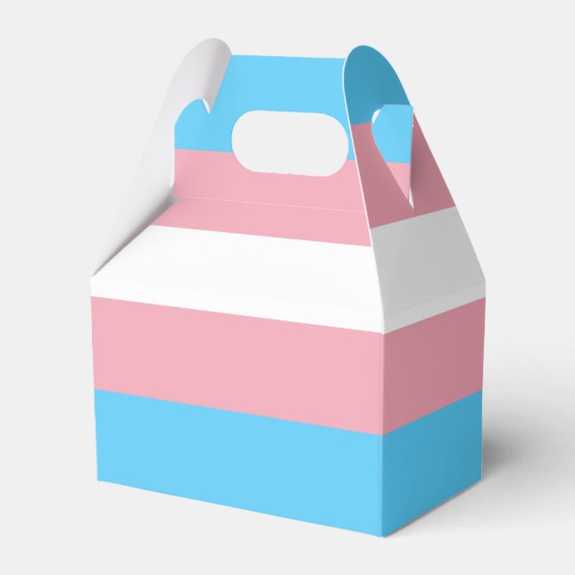 Transgender Pride Flag Favour Box (Front Side)