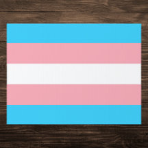 Transgender Pride Flag