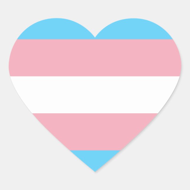 Transgender Pride Flag Heart Sticker (Front)