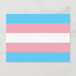 Transgender Pride Flag - LGBT Rainbow Postcard