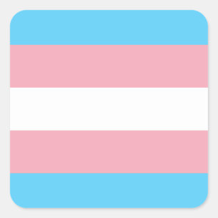 Transgender Pride Flag - LGBT Rainbow Square Sticker