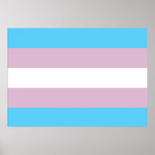 Transgender Pride Flag Poster