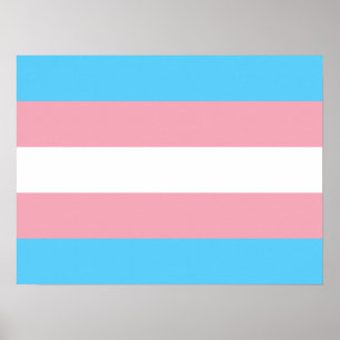 Transgender Pride Flag Poster