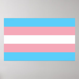 Transgender Pride Flag Poster