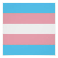 Transgender Pride Flag