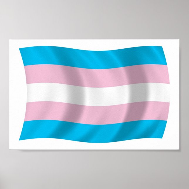 Transgender Pride Flag Poster Print (Front)