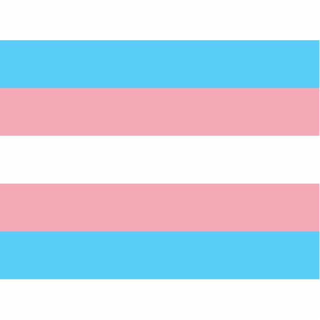 Transgender Pride Flag Standing Photo Sculpture (Front)