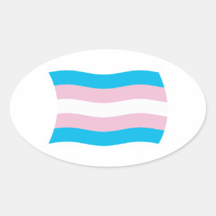 Transgender Pride Flag Sticker