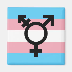 Transgender Pride Magnet