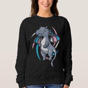 Transgender Pride Stuff Trans Dragon Video Game Lg Sweatshirt