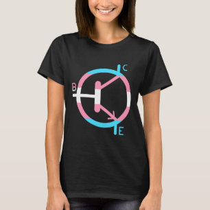 Transgender Pride Transistor Tee
