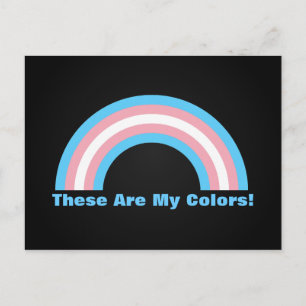 Transgender rainbow pride  Postcard
