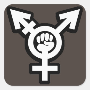 Transgender Sticker Set