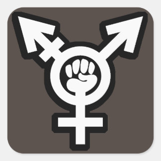Transgender Sticker Set