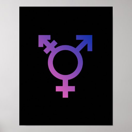 Transgender Symbol Poster  Zazzle