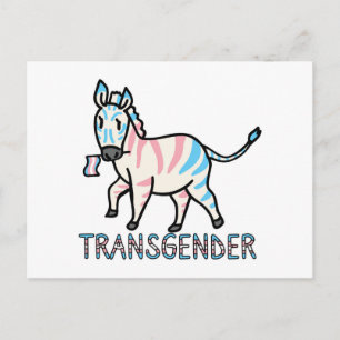 Transgender Zebra Postcard