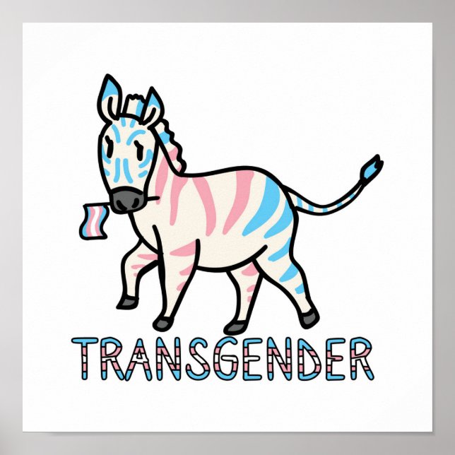 Transgender Zebra Poster (Front)