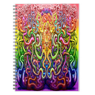 Transition Notebook