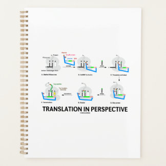 Translation In Perspective tRNA Biology Protein Planner