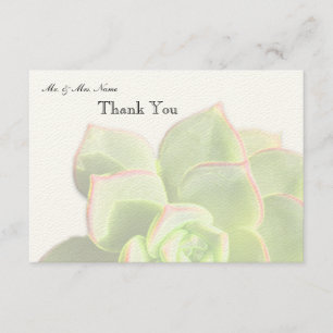 Translucent Green Succulent Thank You Card