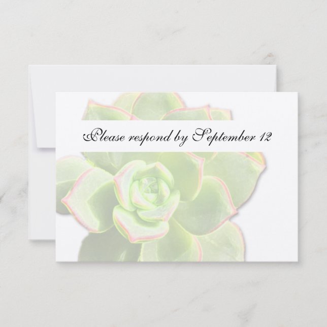 Translucent Green Succulent Vintage rsvp Card (Front)