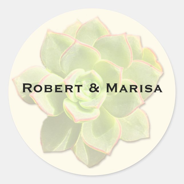 Translucent Succulent Gift Favour Stickers (Front)