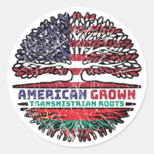 Transnistria Transnistrian American USA Tree Roots Classic Round Sticker